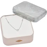 Fossil halsband Glitz Sterling Silver Necklace Box Set JFS00453040