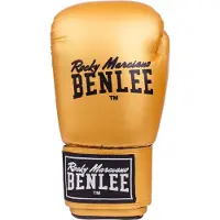 Benlee Rodney Kampsporthandskar