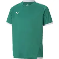 Puma Matchtröja teamLIGA - Grön/White Barn, storlek 128 cm