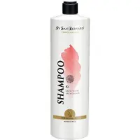 Iv San Bernard Trads Ks Antismell Schampo 1l