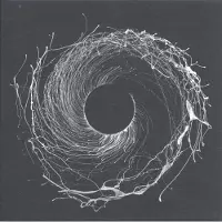 Ginza.se Dawn of Midi: Dysnomia