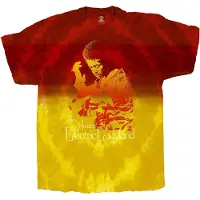Ginza.se Jimi Hendrix: Unisex T-Shirt/Electric Ladyland (Red) (Wash Collection) (Large)