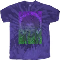 Ginza.se Jimi Hendrix: Unisex T-Shirt/Swirly Text (Blue) (Wash Collection) (Large)