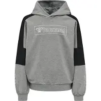 Hummel Hoodie - hmlBoxline - Gråmelerad - - 4 år (104) - Hoodie