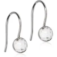 Blomdahl Örhängen NT Pendant Bezel Crystal 5 mm 1par