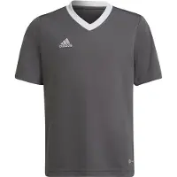 Adidas T-shirt - ENT22 JSYY - Grå/Vit - - 14 år (164) - T-shirt