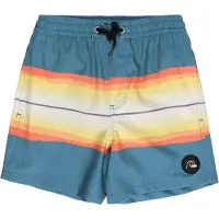 Quiksilver Resin Tint 14 Simshorts