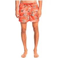 Quiksilver Scenic 15 Simshorts