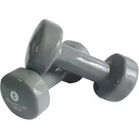 SVELTUS Epoxy 3 kg Grey Hantlar för en arm