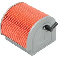 Hiflofiltro Honda Hfa1212 Luftfilter