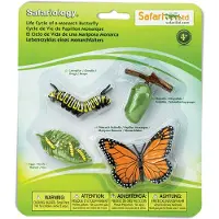 Safari Ltd. Life Cycle of a Monarch Butterfly - Education Toy Figurines - Miniature Butterfly Lifecycle Collection for Boys Girls & Kids Age 4+