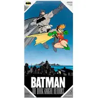 DC Comics Batman Robin Affisch