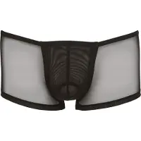 Svenjoyment Underwear Transparenta Boxershorts med Swell Function - Svart - M - Svart