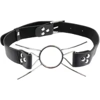 Fetish Fantasy FF Spider Gag