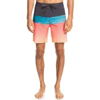 Quiksilver Surfsilk Panel Simshorts