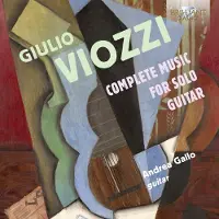 Import Viozzi Giulio: Complete Music For Solo Guitar