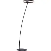 Paul Neuhaus LED golvlampa Titus, dimbar, Svart, Vardagsrum / matsal, Aluminium / grå / zink, Modern, LED-golvlampa
