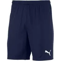 Puma Fotbollsshorts Teamgoal 23 - Navy Barn, storlek YM/140 cm