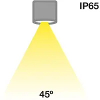 The Light Group Downlight MiniOne Fixed, dimbar, Svart, Vardagsrum / matsal, Aluminium / grå / zink, Modern, Downlights