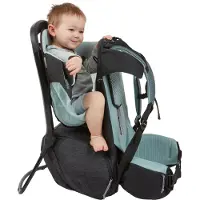 Thule Sapling Child Carrier Black