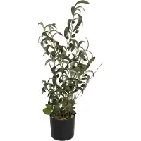 Europalms oliventräd, konstgjord växt, 68 cm (82506421)