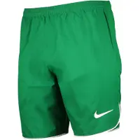Nike Dri-fit Dh8408 Shorts