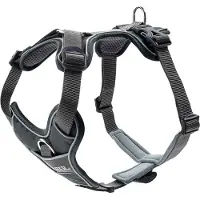 Hunter - Harness Divo L, grey/grey