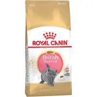 Royal Canin British Shorthair kattungefoder torr för BKH kattungar 10 kg