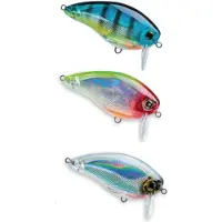 Yo-zuri Duel 3DS Vev SSR 50 mm Floating Lure F1138-HCR (3569)