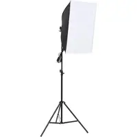 vidaXL Professionell studiobelysning 60x40 cm