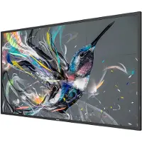 Philips 50BDL3550Q - 50 Diagonal klass (49.5 visbar) - Q-Line LED-bakgrundsbelyst LCD-skärm - digital skyltning - 4K UHD (2160p) 3840 x 2160 - direktupplyst LED