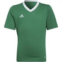 Adidas Funktionstopp 'Entrada 22' gräsgrön / vit