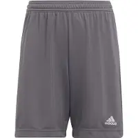Adidas Shorts - Entrada 22 - Grå - - 6 år (116) - Shorts