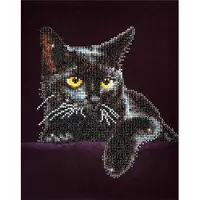 Diamond Dotz Original Diamond Målning Cat Mid night Katt