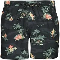 Quiksilver Scenic 15 Simshorts