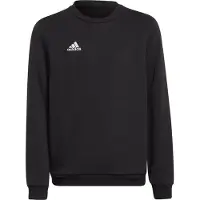 Adidas Entrada 22 Stadium Sw Tröja