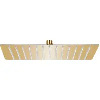 vidaXL Takduschhuvud rostfritt stål 25x25 cm fyrkantigt guld