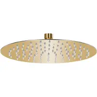 vidaXL Takduschhuvud rostfritt stål 25 cm rund guld
