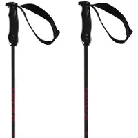 Völkl Rentastick Carbon Stavar
