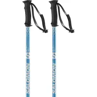 Salomon Rental Anodized Stavar