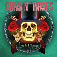 Source1 Guns N Roses turntable Live in Chicago - Vinyl record
