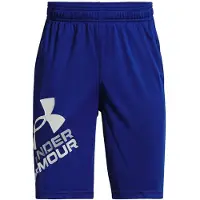 Under Armour boys Prototype 2.0 Logo Shorts Royal Blue (400)/White Youth X-Small