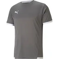 Puma Funktionstopp 'TeamLiga' basalgrå / vit