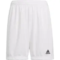 Adidas Entrada 22 Shorts