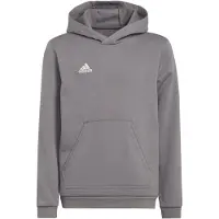 Adidas Entrada 22 Tröja Med Huva