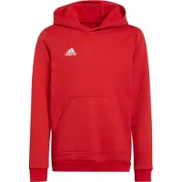Adidas Entrada 22 Tröja Med Huva