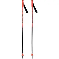 Rossignol Hero Gs Juniorstavar