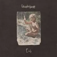 Ginza.se Wunderhorse: Cub