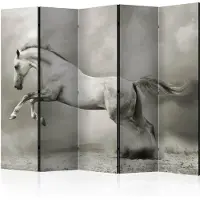 Artgeist Rumsavdelare / Skärmvägg - Wild Stallion II - 225x172