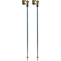 LEKI Spitfire 3 D alpina skidstavar